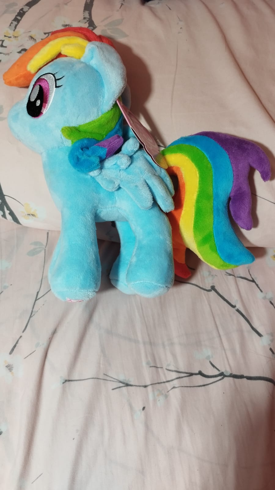 MLP Rainbow Dash 4DE peluche